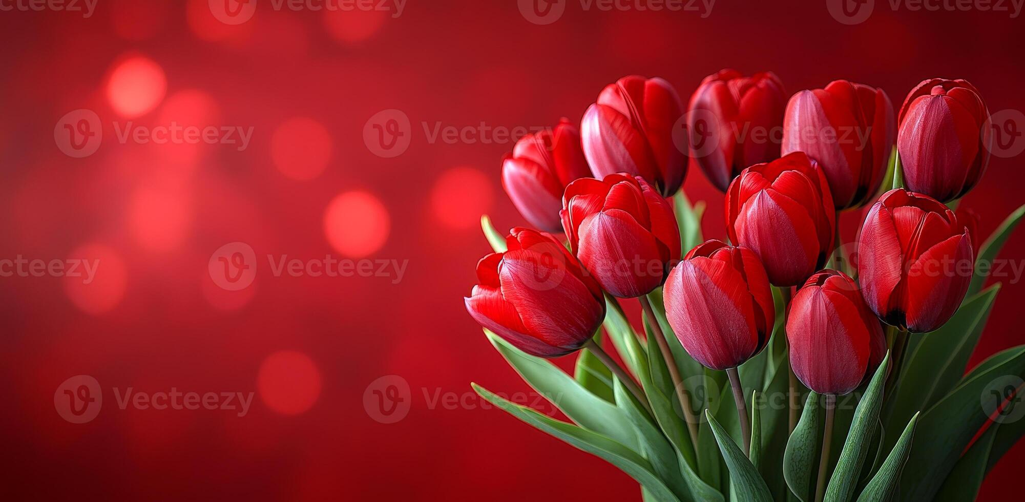 A bouquet of red tulips is displayed on a red background. The flowers are arranged in a vase, and the red color of the tulips and the background creates a warm and inviting atmosphere. Concept of love photo