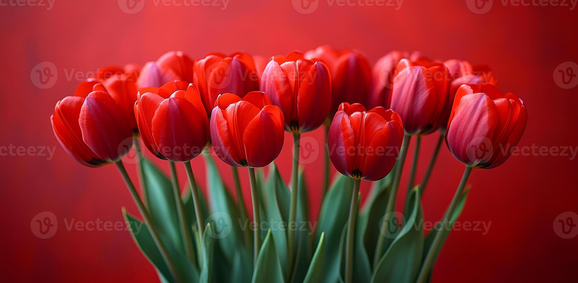 A bouquet of red tulips is arranged in a vase. The flowers are in full bloom and are the focal point of the image. The red color of the tulips creates a warm and inviting atmosphere photo