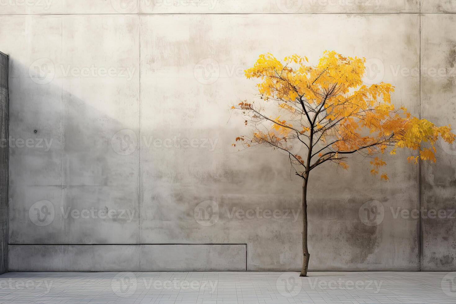 A lone tree in front of a concrete wall photo