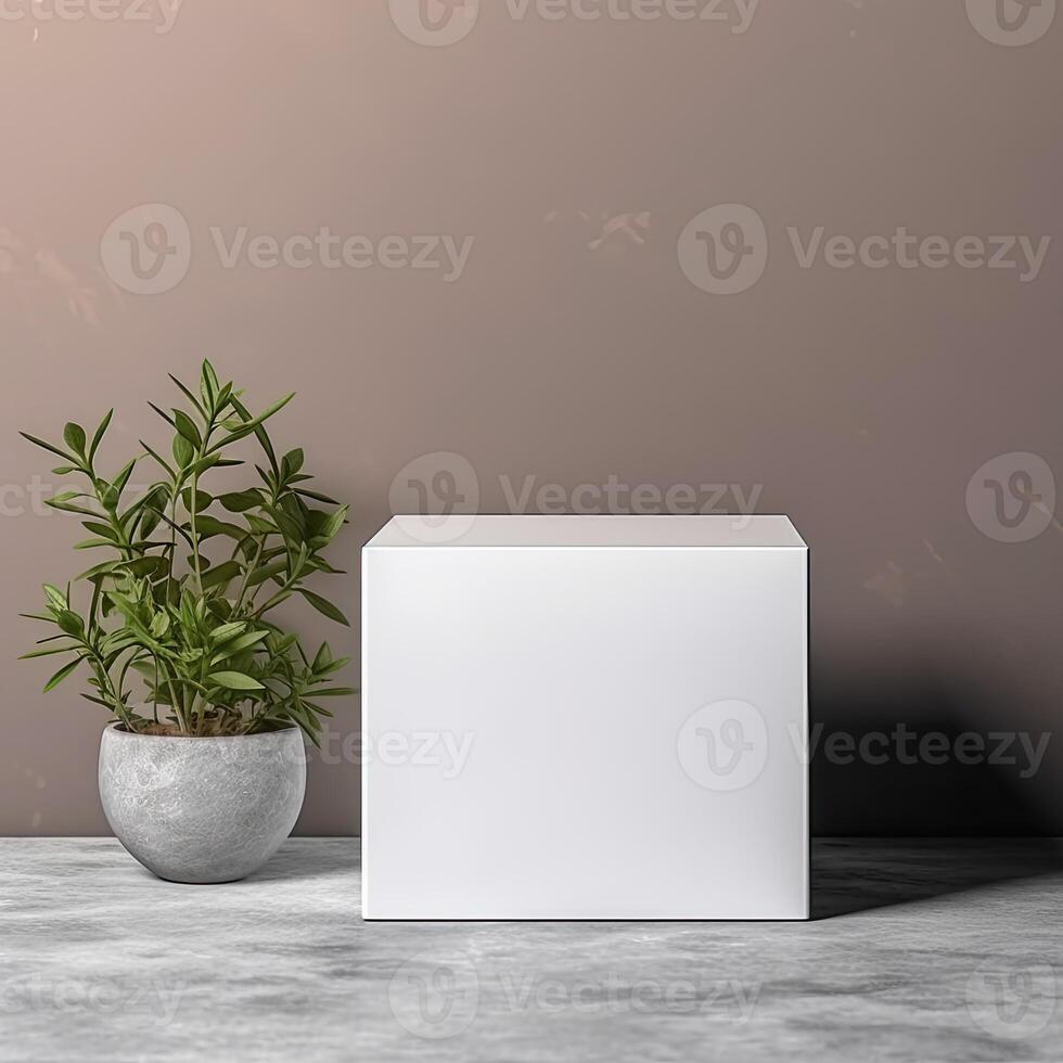 Blank Box Mock Up photo
