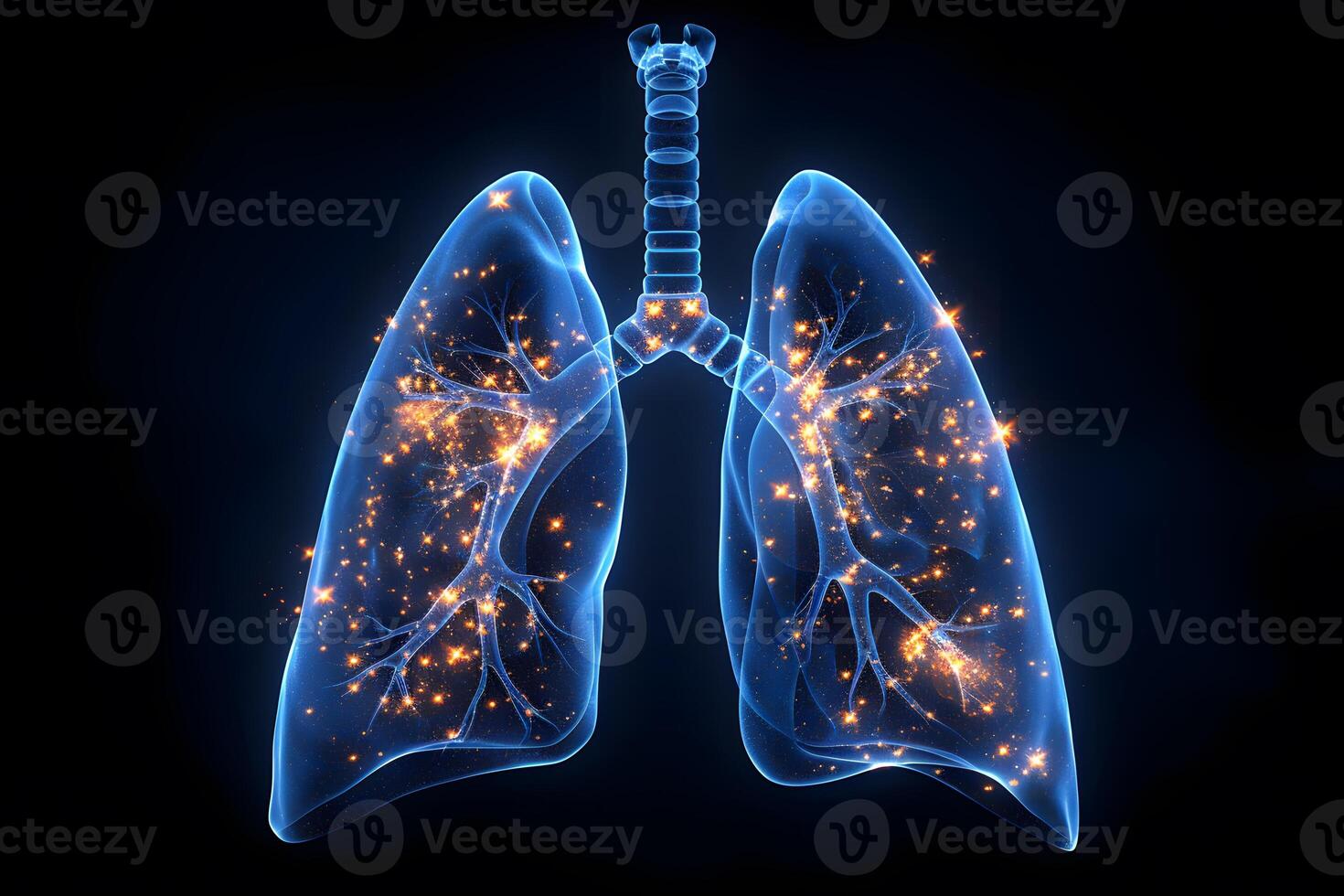 Modern Medical Visualization of Lungs with Digital Technologies and Data Insights photo