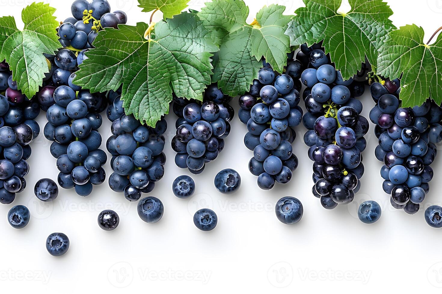 Fresh Grapes and Blueberries with Green Leaves on a White Background for Organic Food Designs photo