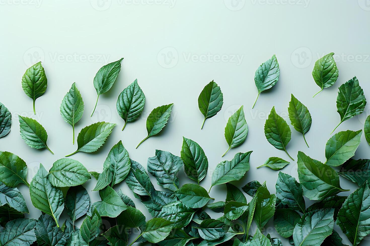 Tranquil Green Leaves Pattern for Nature-Themed Design and Decor photo