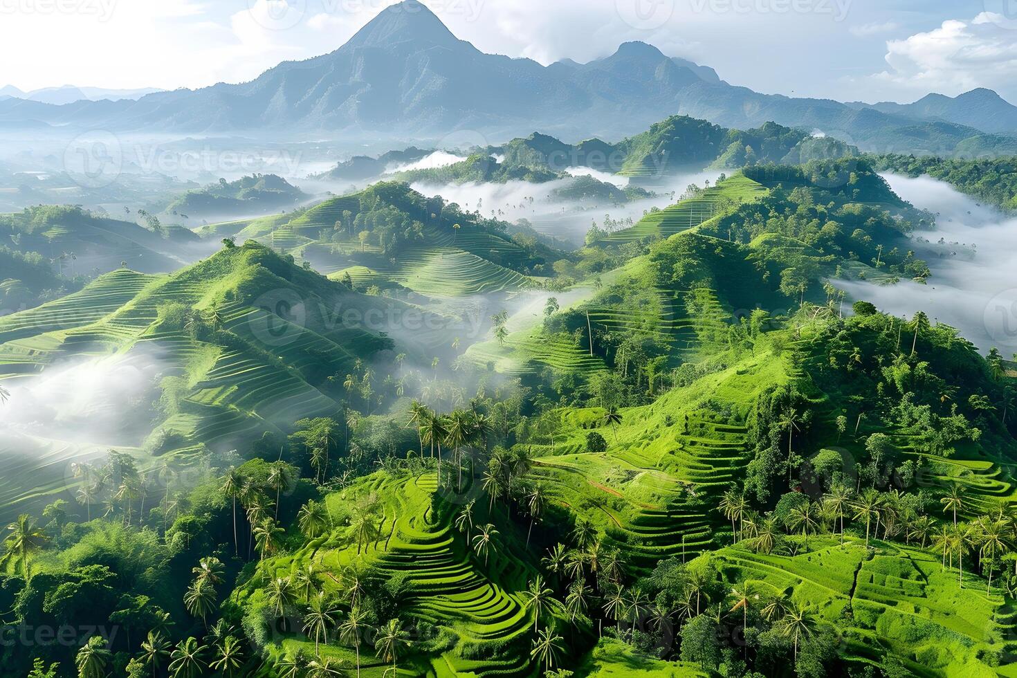 Lush Green Terraced Rice Fields in Misty Morning Mountain Landscape photo