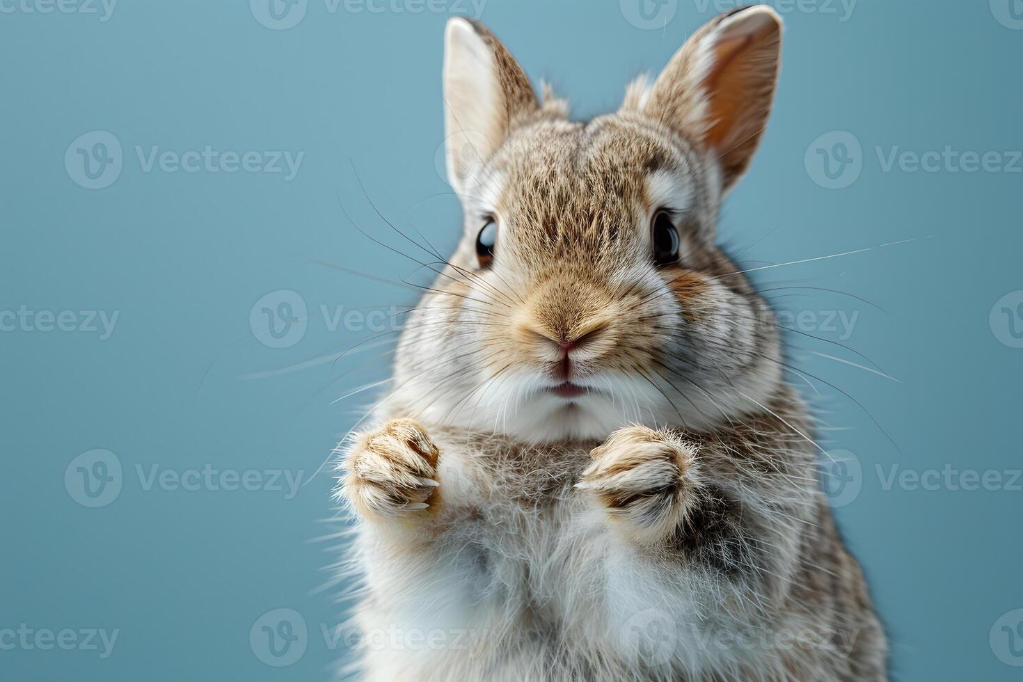 Adorable Baby Bunny on Blue Background - Perfect for Easter, Spring, and Cuteness Concepts photo