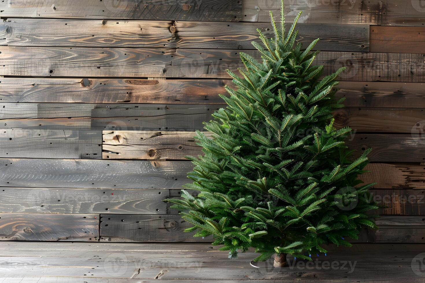 Rustic Christmas Tree Against Wooden Wall for Holiday Decor and Design photo