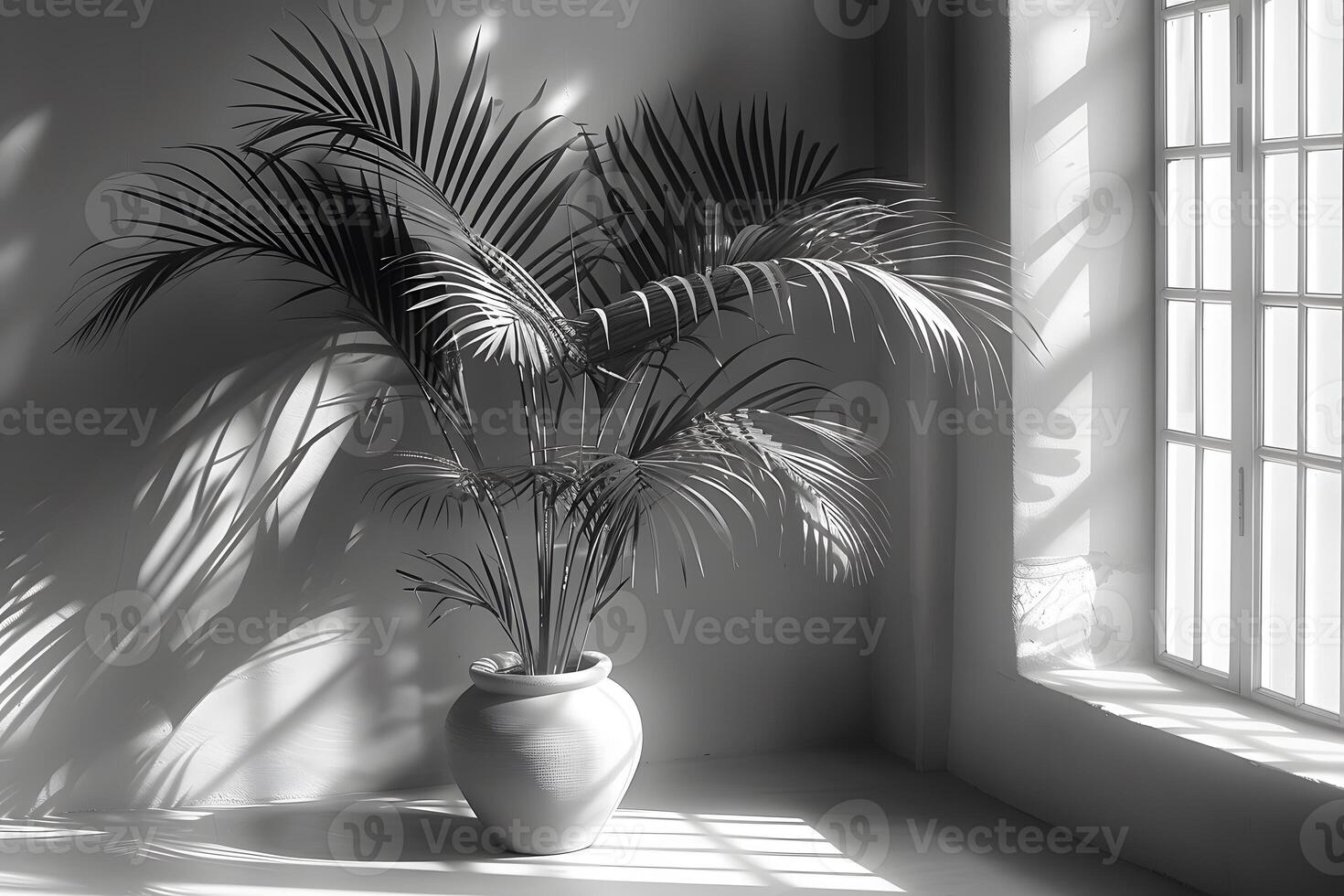 Serene Monochrome Palm Plant in Sunlit Room for Tranquil Interior Design photo