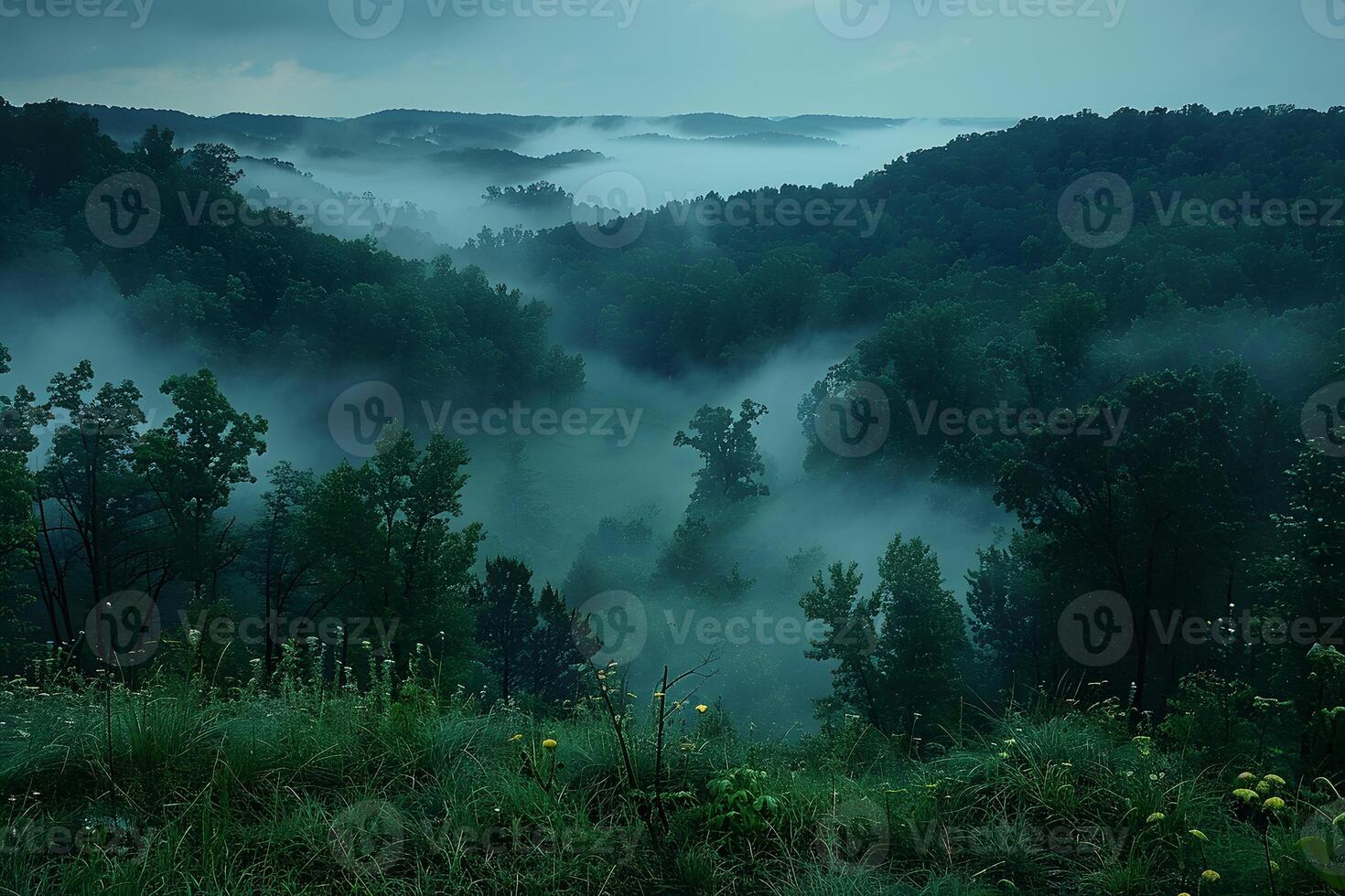 Mystical Foggy Forest Landscape at Dawn for Nature Prints and Posters photo