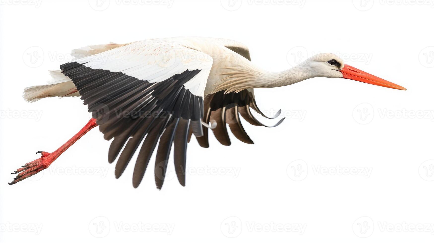 striking white stork soars gracefully through the air, its long legs trailing behind as it navigates the sky, embodying freedom and elegance in motion. photo