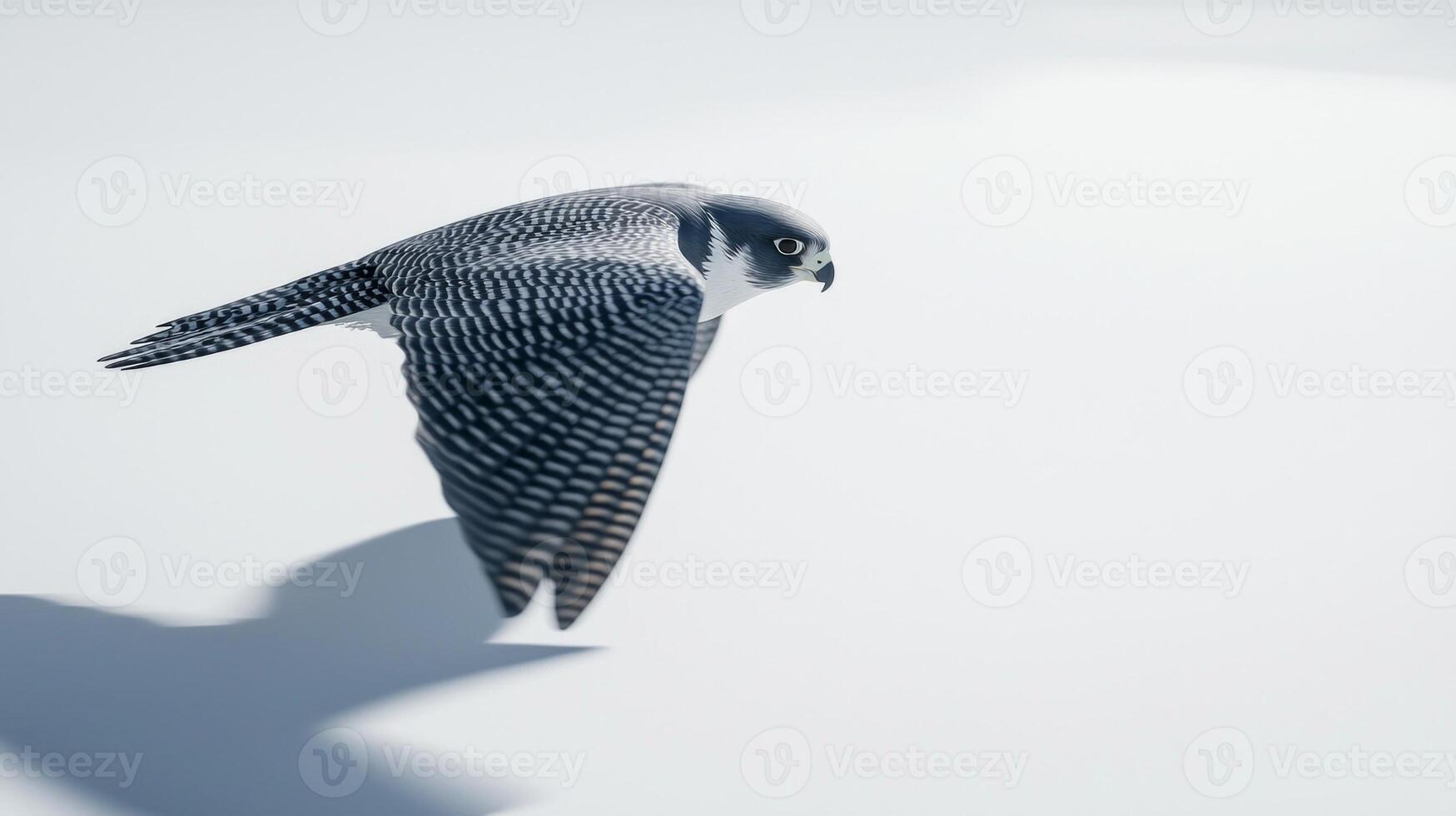 falcon glides effortlessly through the air, wings partially folded, as it showcases its remarkable speed and precision against a clean white backdrop, embodying nature's stunning beauty and power. photo