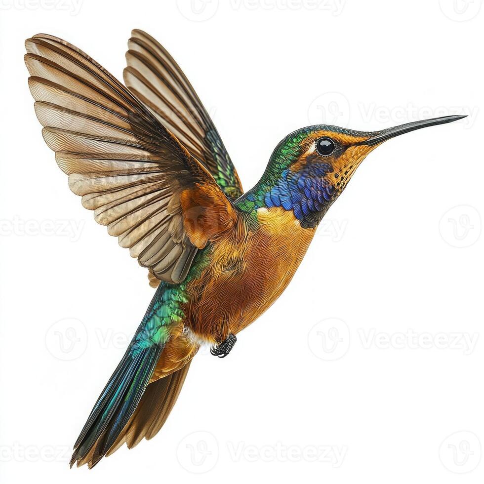 vibrant hummingbird hovers gracefully, its iridescent feathers shimmering. The bird's wings blur from rapid motion, showcasing its mesmerizing flight. photo