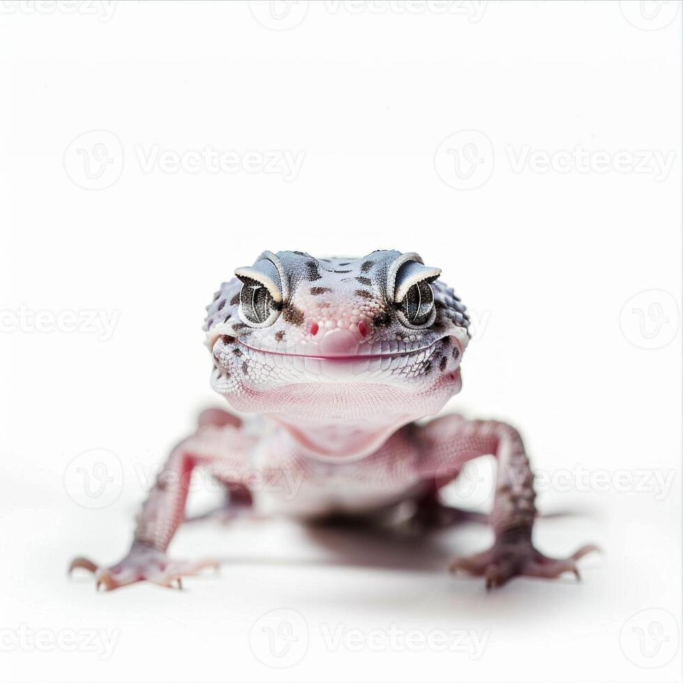 This Leopard Gecko moves forward with its distinct spotted patterns and vibrant eyes captured against a clean white backdrop with soft shadows. photo