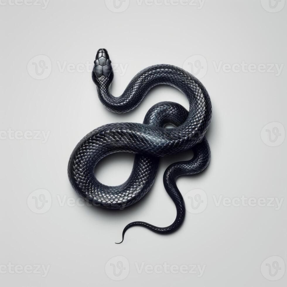 striking black mamba is expertly showcased stretched out against a white background. The dramatic lighting highlights its smooth glossy scales and powerful shape. photo