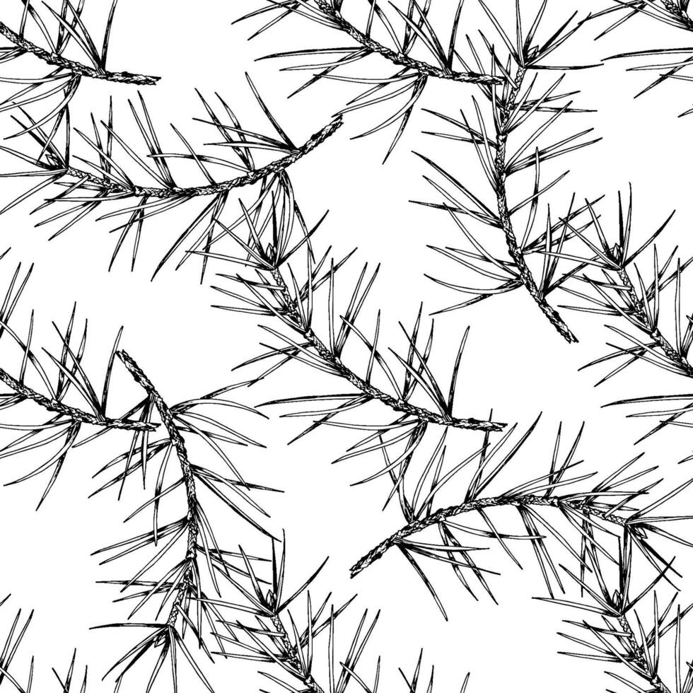 Detailed hand drawn seamless pattern of spruce branches. Realistic ink sketch style design, perfect for nature, eco-themed projects, Christmas decorations and botanical illustrations. vector