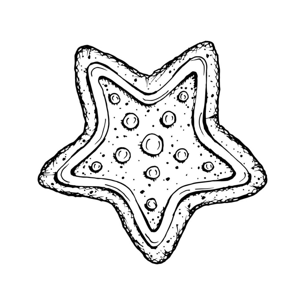 Merry Christmas treat, gingerbread star with icing. New Year illustration hand drawn with ink. Symbol of winter mood. New Year sweetness for bakery packaging, printing, gifts and handicrafts. vector