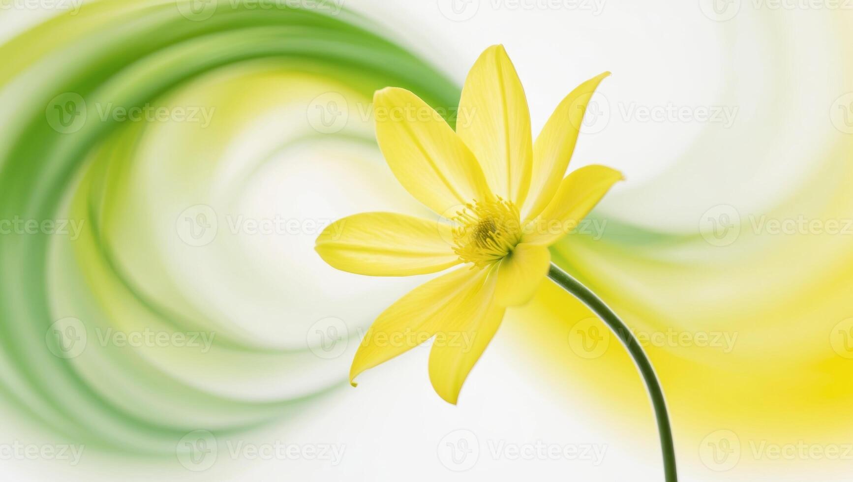 Yellow Flower with Swirling Green and Yellow Background. photo