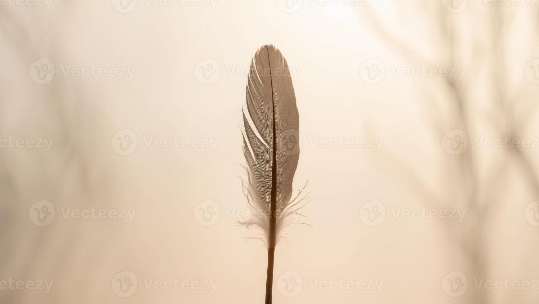 A tight shot of a feather with a background of softly blurred light. photo