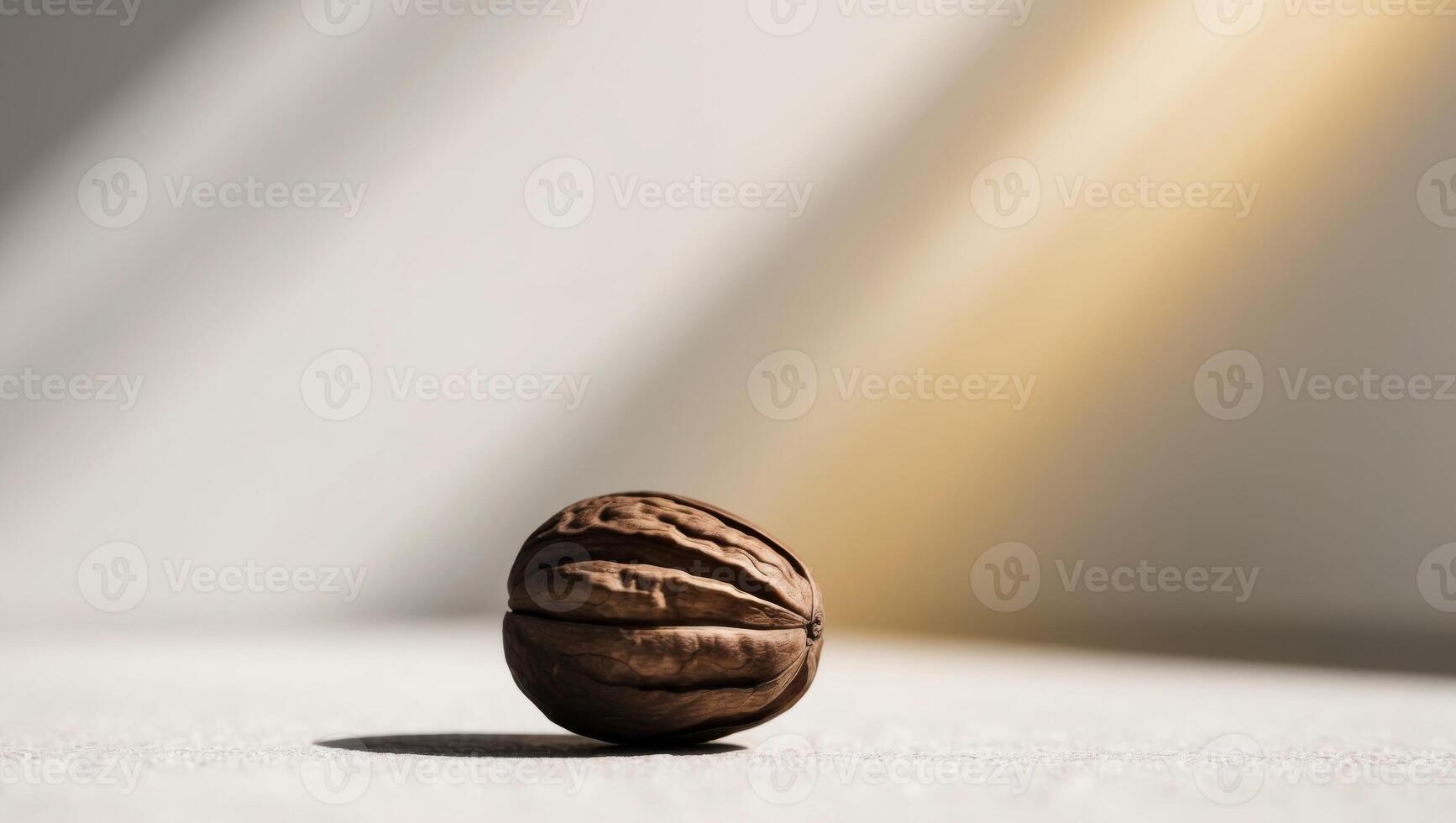 A tight shot of a walnut on the ground with a blurred background behind it. photo