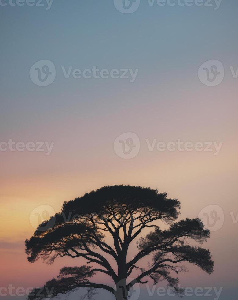 A lone tree stands in the middle of a field at sunset photo