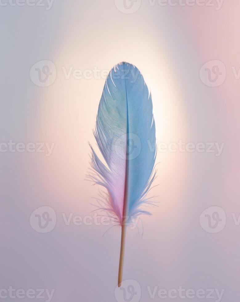 A blue and pink feather is shown in front of a light photo
