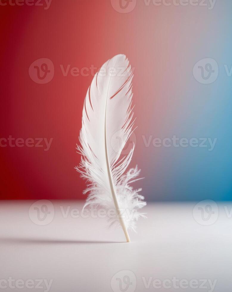 A white feather on a table in front of a red and blue background photo