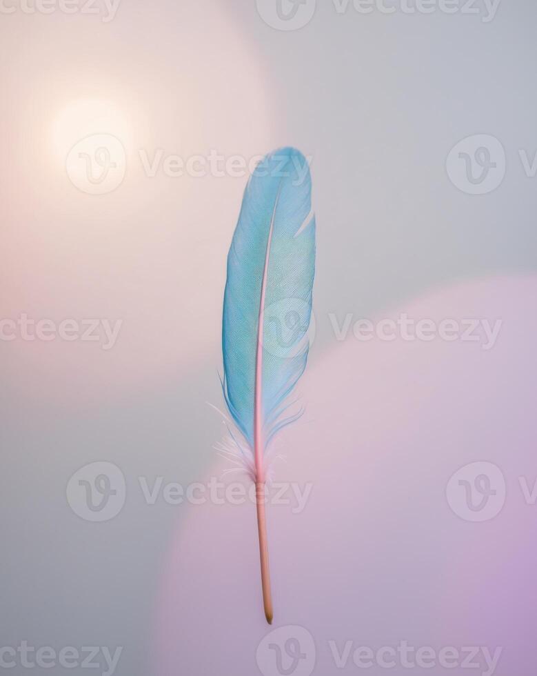 A blue feather on a white background photo