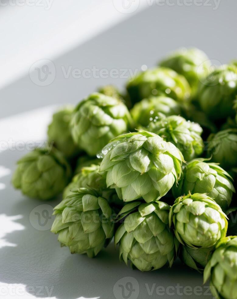 A bunch of green hops on a white surface photo