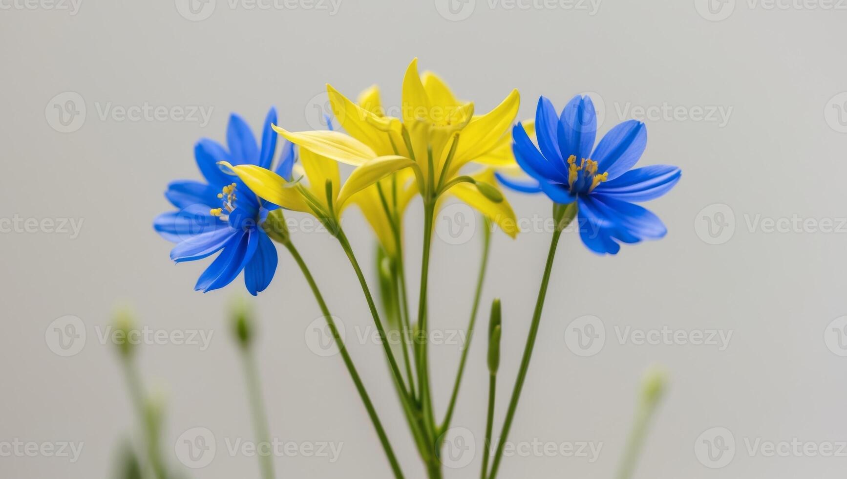Blue and yellow flowers in a vase photo