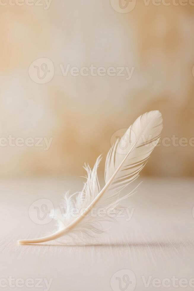 White feather on a wooden table with a blurred background photo