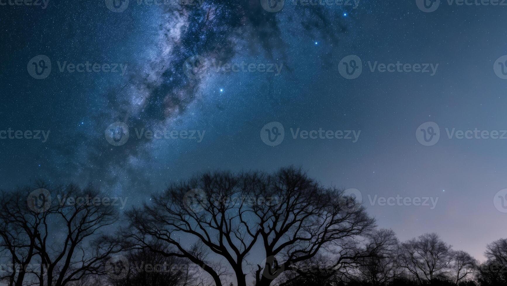 Milky way over the trees photo