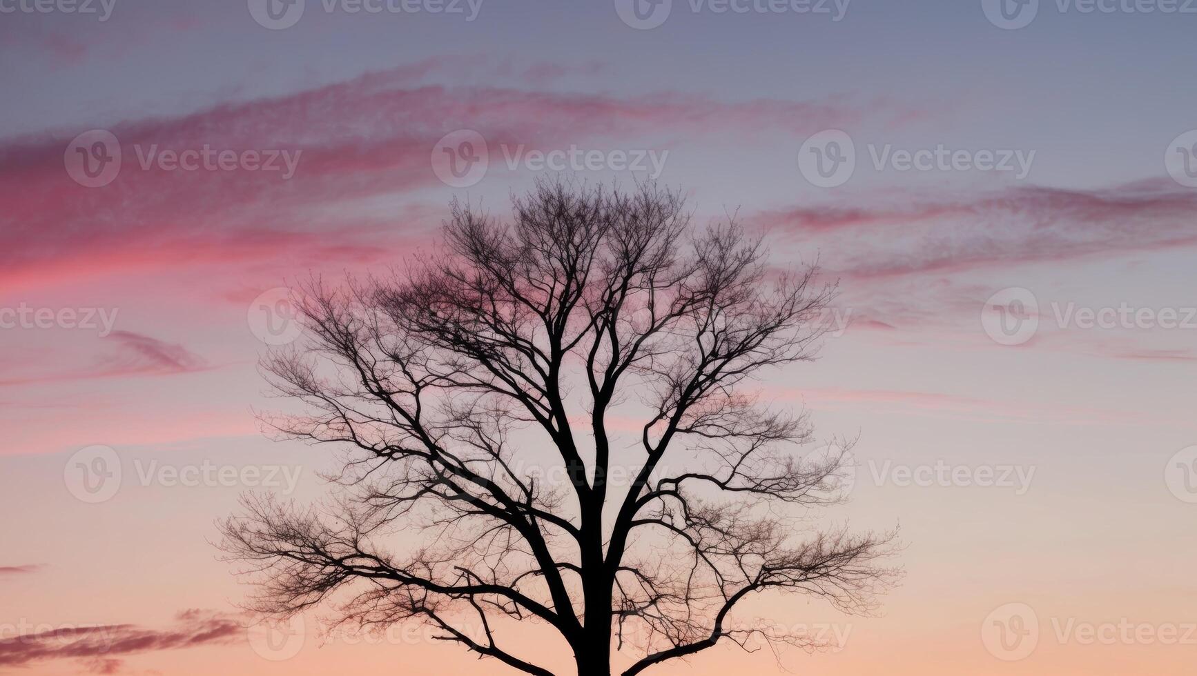 A tree silhouetted against a pink sky at sunset photo