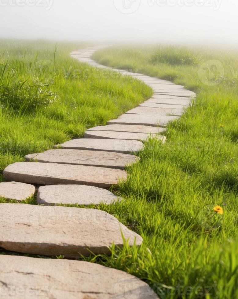 Stepping stones in a grassy field photo