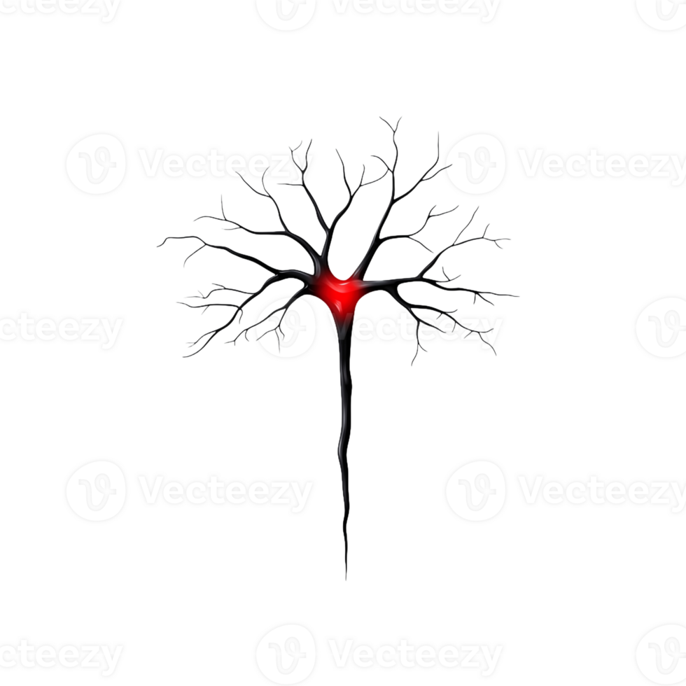 Artistic illustration of a tree with black branches and a glowing red heart, symbolizing life and emotion, on a transparent background. png