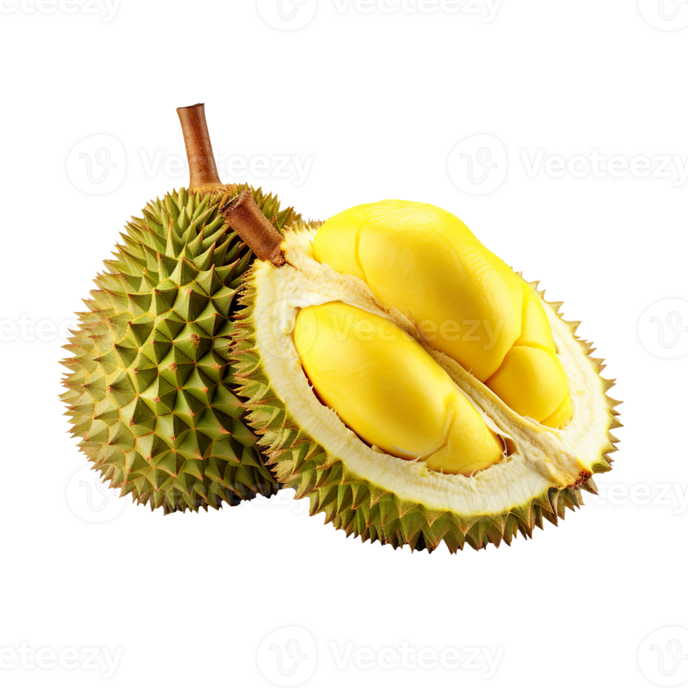 Durian fruit isolated on transparent background png