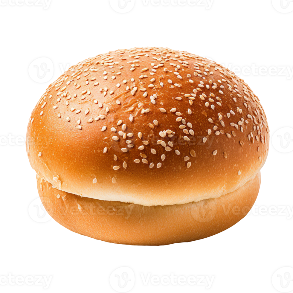 Hamburger bun isolated on transparent background png