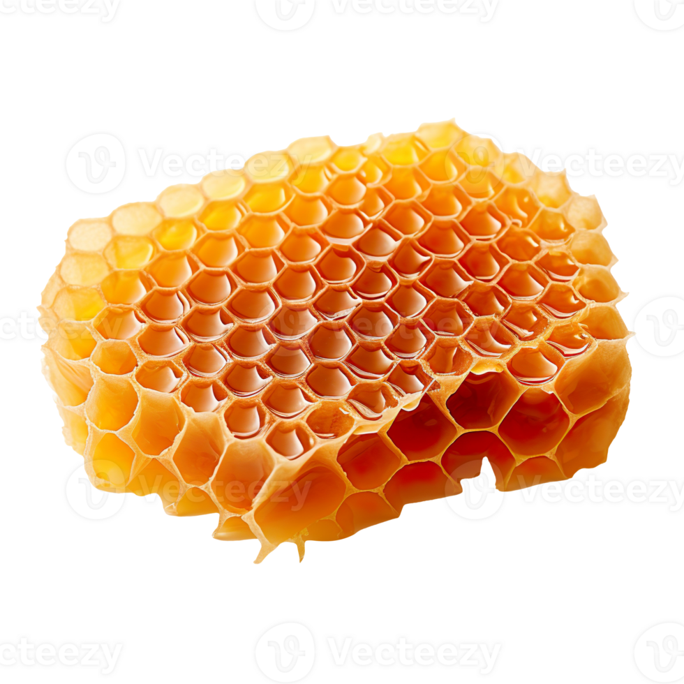 honey comb isolated on transparent background png