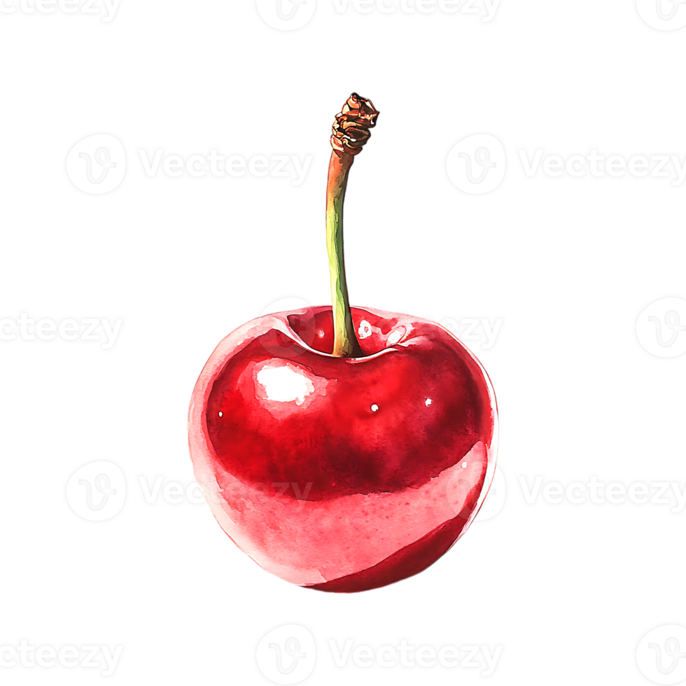 Vibrant Red Cherry Watercolor Illustration on a transparent background png