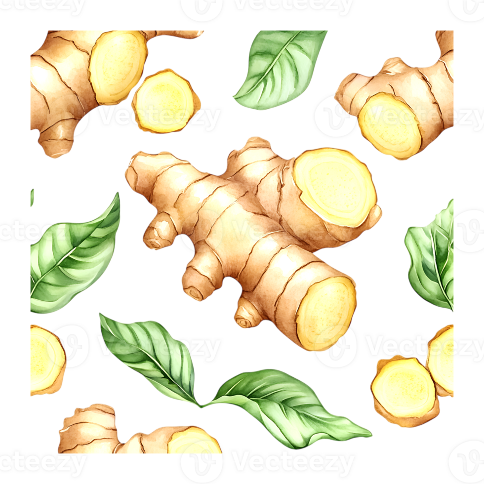 Seamless pattern of ginger root on a transparent background png