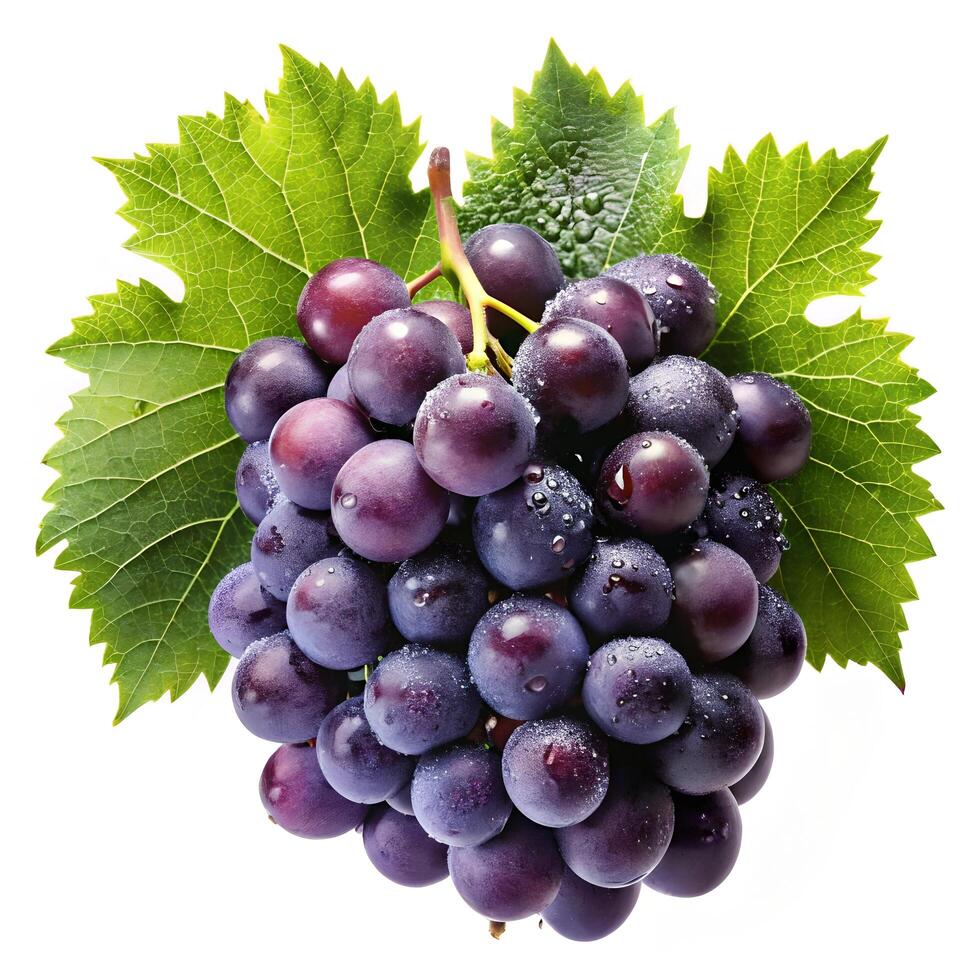 Grapes photo Bunch of grapes with leaf white background.