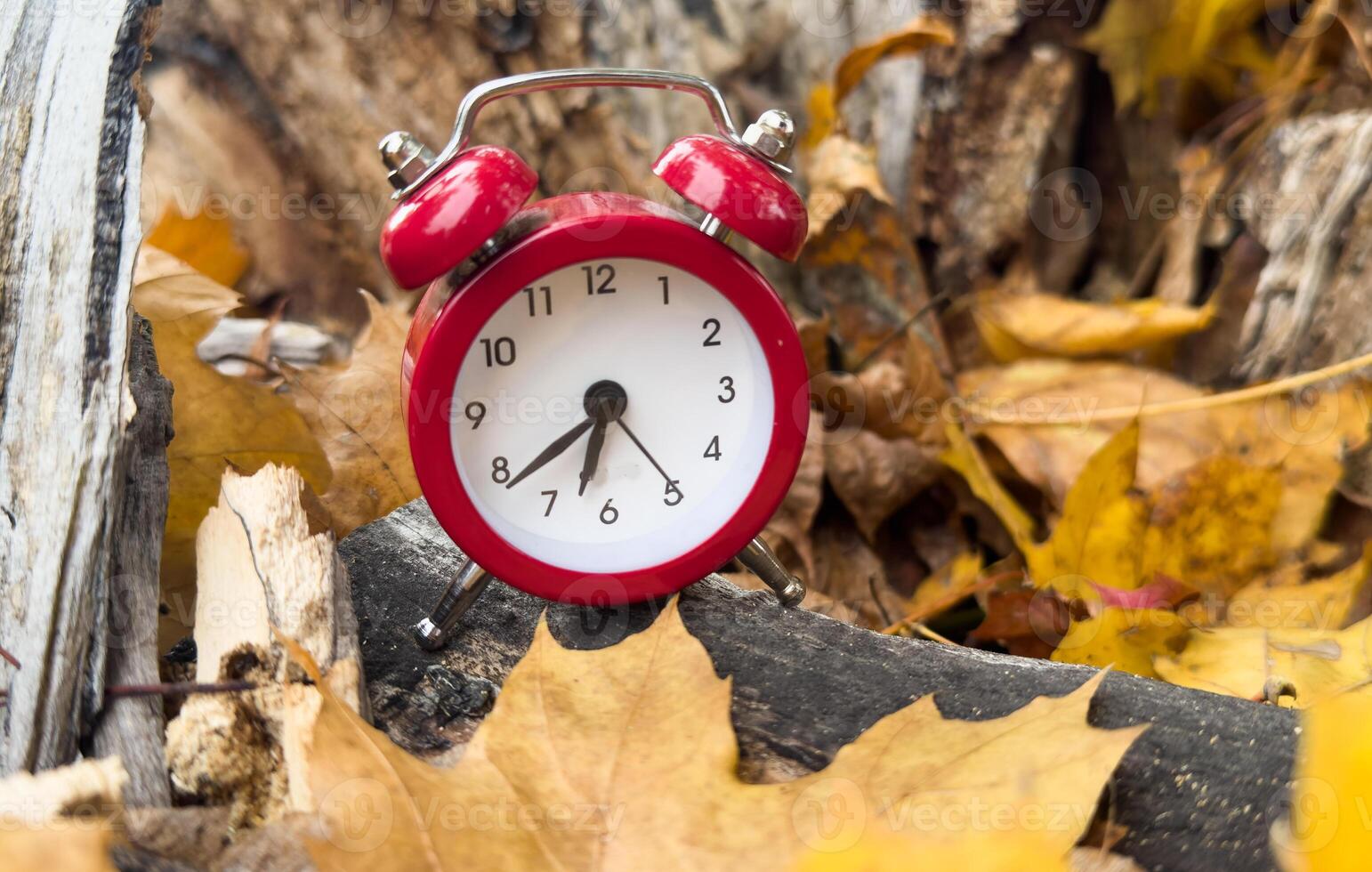 Traditional alarm clock on a background of orange and yellow maple leaves, fall time change concept photo
