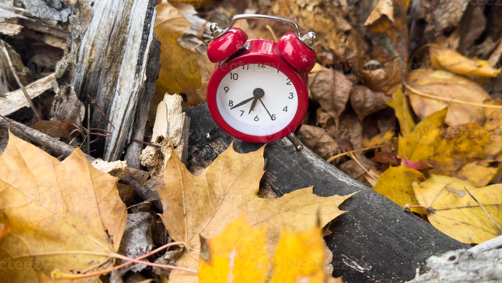 Vintage alarm clock and maple tree leaves on yellow wooden background with bokeh. Autumn season image style photo