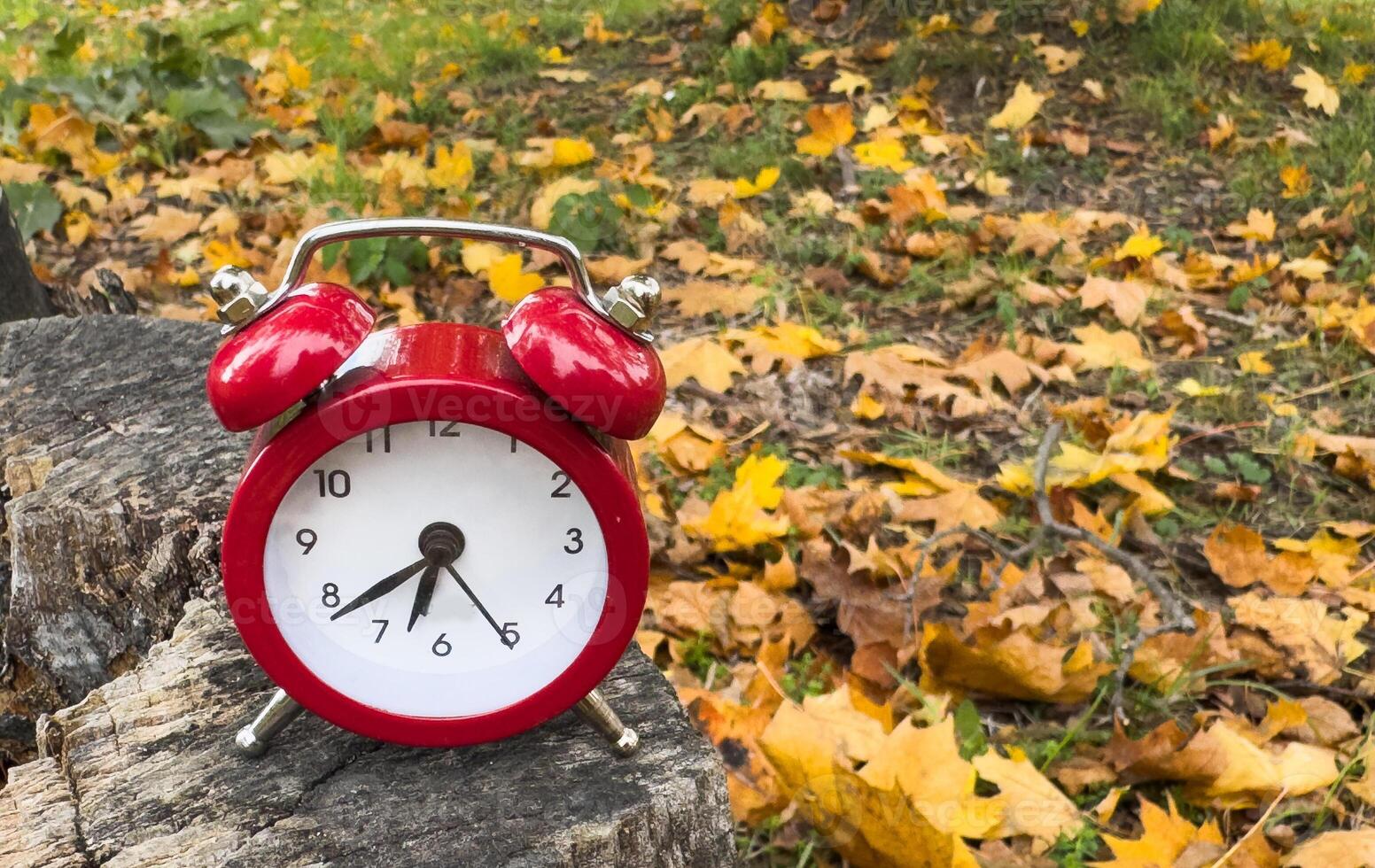 Traditional alarm clock on a background of orange and yellow maple leaves, fall time change concept photo
