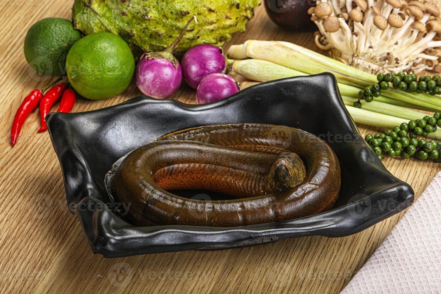 Fresh raw uncooked eel for grill photo