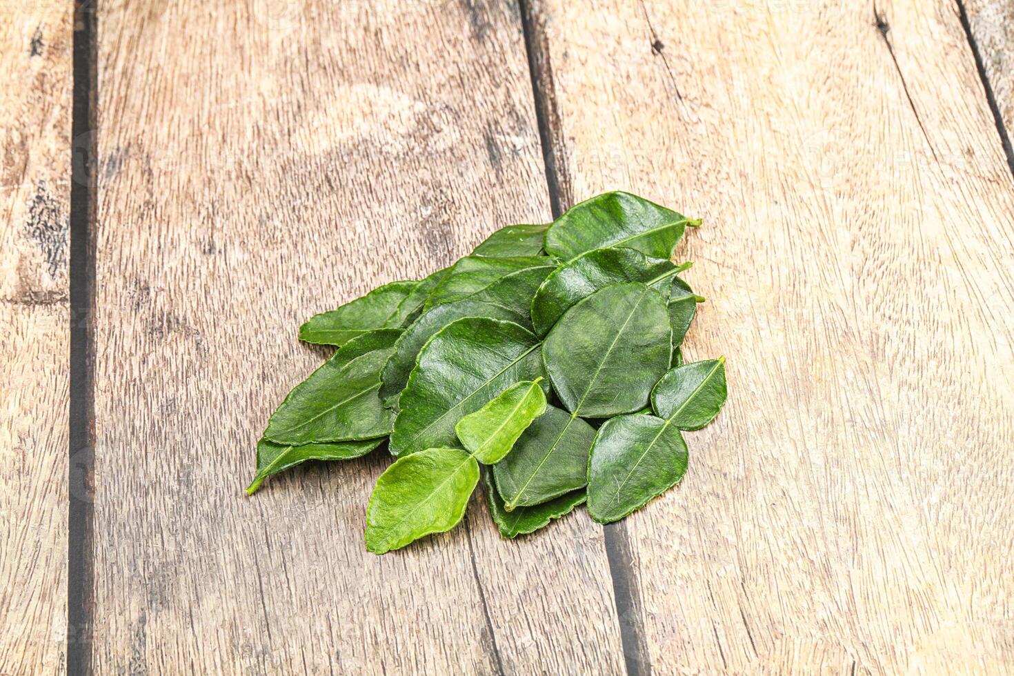 Thai cuisine - Kaffir lime leaves photo