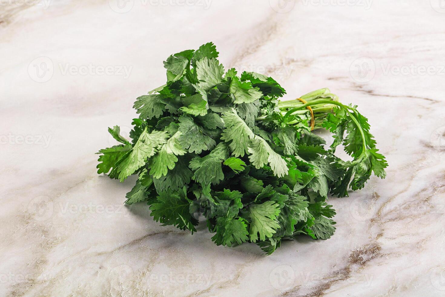 Fresh green cilantro branches heap photo