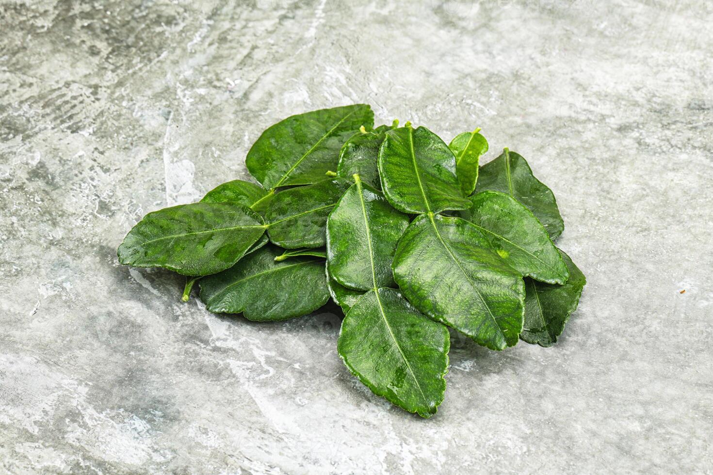 Thai cuisine - Kaffir lime leaves photo