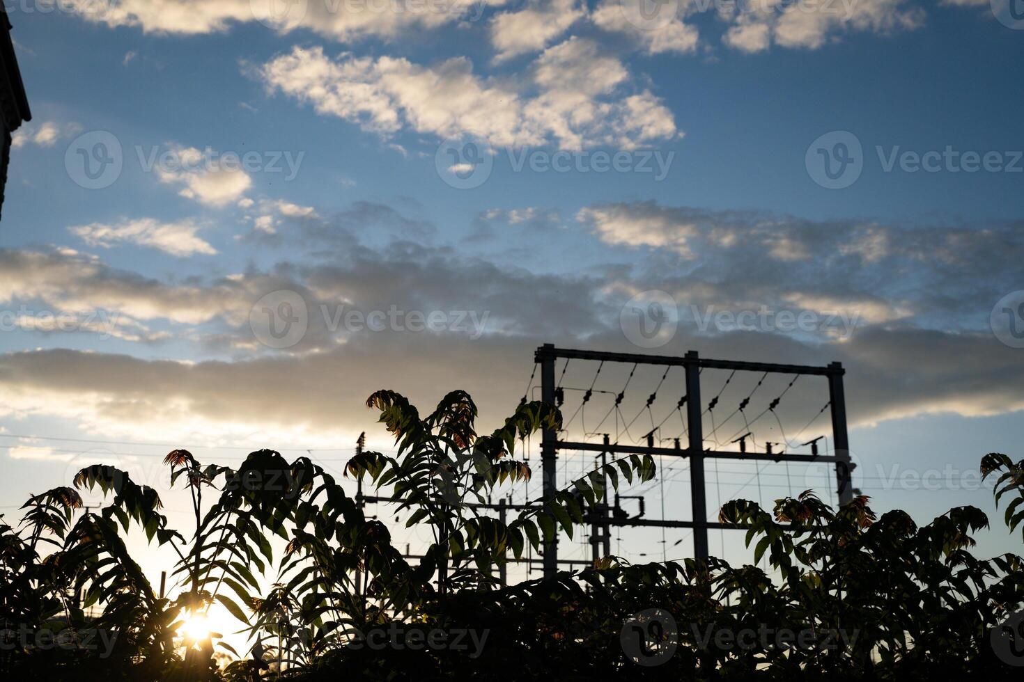 A beautiful minimalist sunset scene featuring silhouetted power lines and foliage, with a vibrant sky, representing tranquility, environment, and nature's contrast with technology. photo
