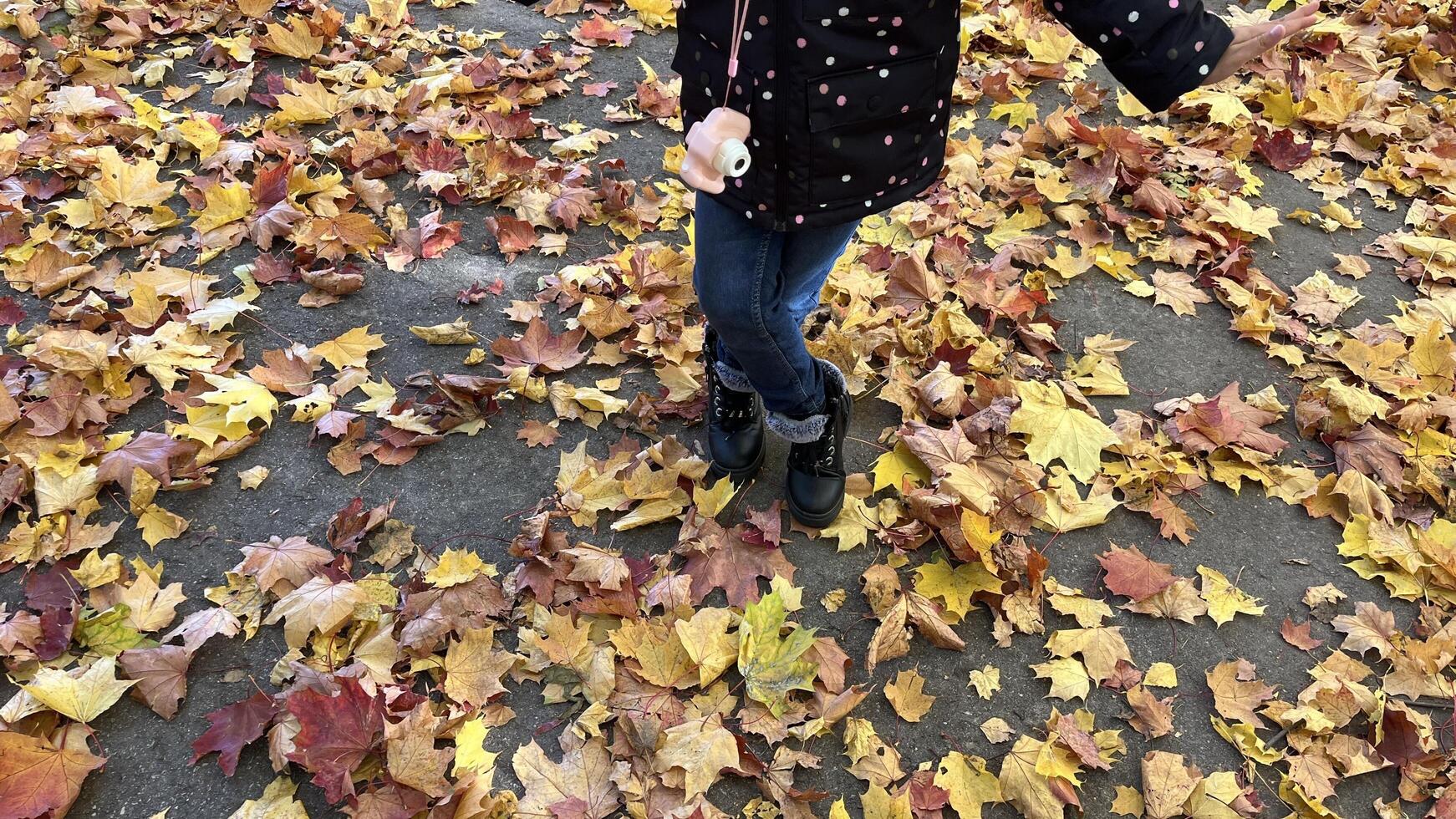 Little girl wearing padded jacket hanging mini kid camera on the neck walking in autumn park with fallen maple leaves on the ground. photo