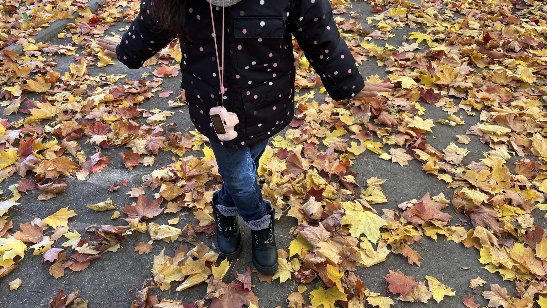 Little girl wearing padded jacket hanging mini kid camera on the neck walking in autumn park with fallen maple leaves on the ground. photo