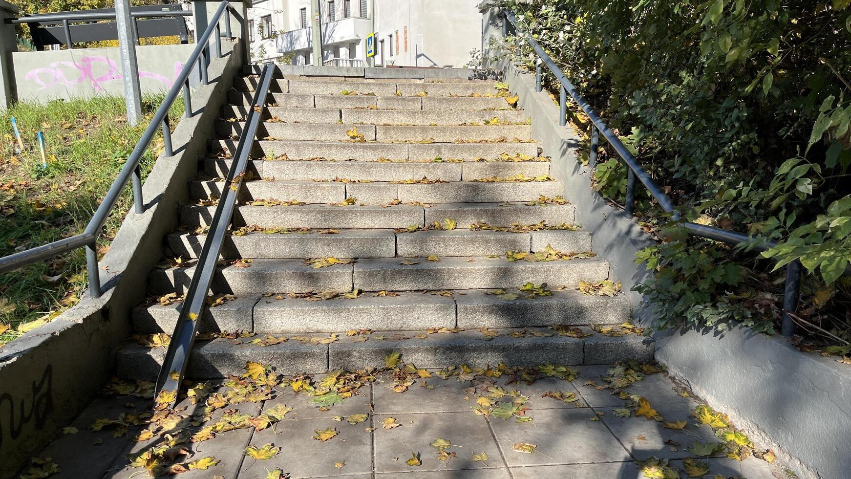 Staircase with metal railing for bike and fallen autumn leaves. photo